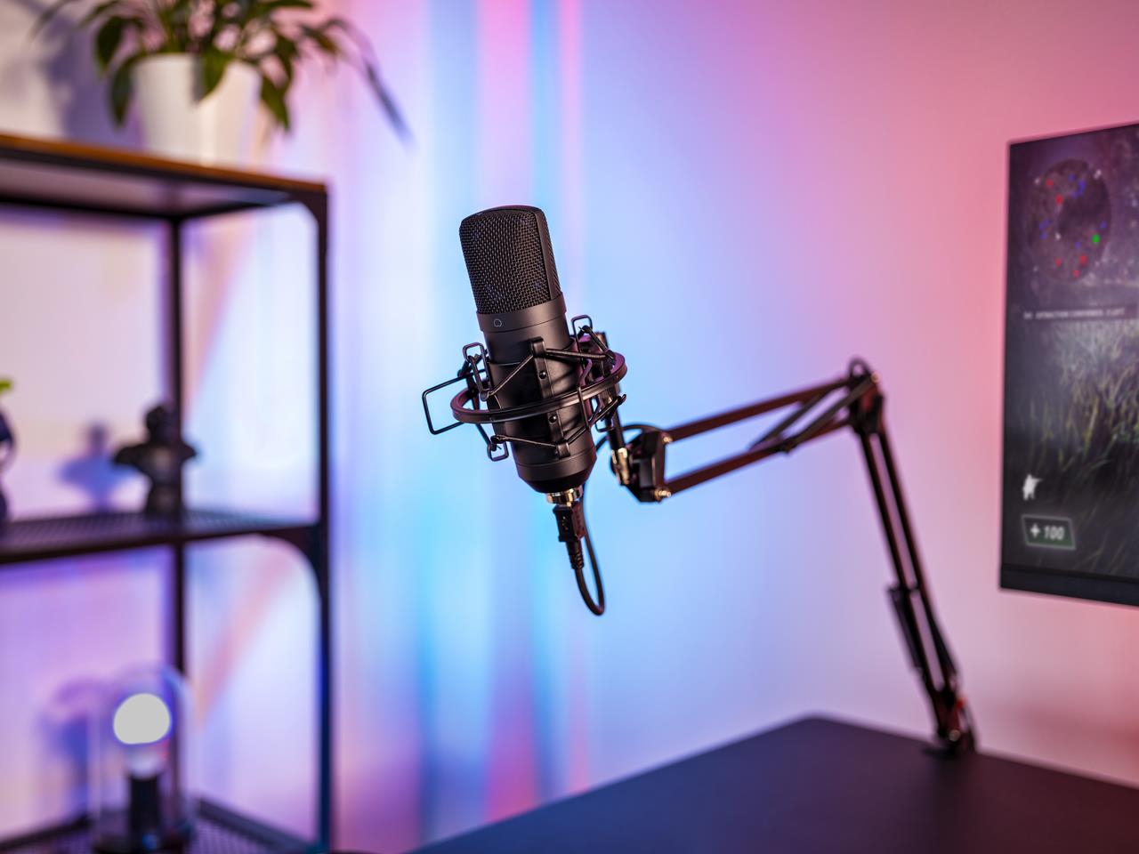 MICROPHONE ACC STREAMING ARM/22563 TRUST