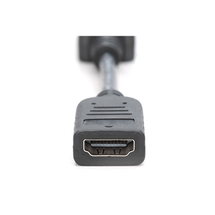 Digitus | DisplayPort Adapter/Converter | AK-340400-001-S