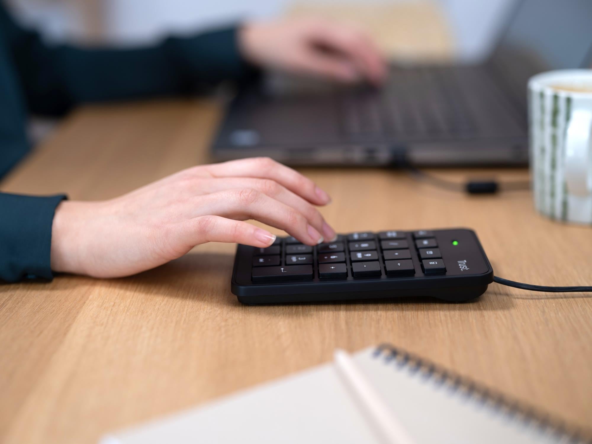 KEYBOARD NUMERIC XALAS/22221 TRUST