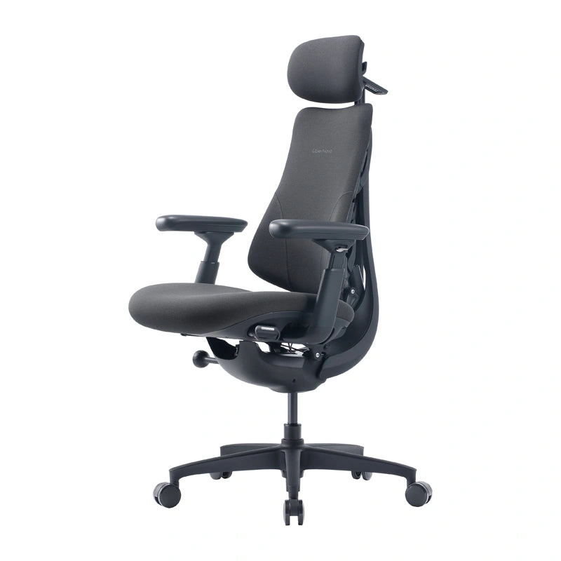 LiberNovo Omni GEN 48 cm Ergonomic Chair (Graphite) - Image 2
