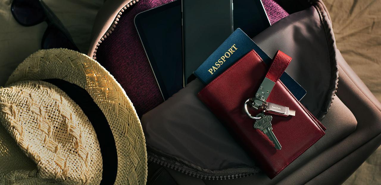 MEMORY DRIVE FLASH USB-C 256GB/SDDDC4-256G-G46 SANDISK