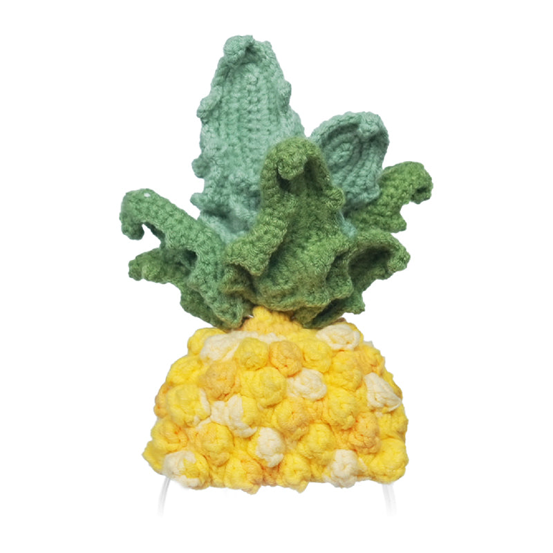 Knitted costume for Loona Premium Pineapple - Image 1