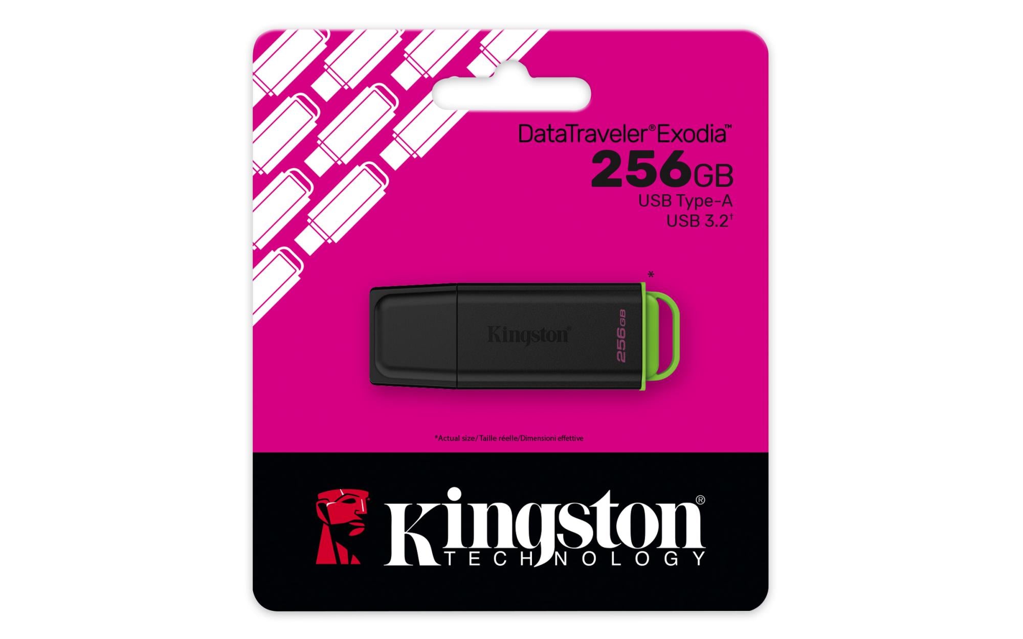 MEMORY DRIVE FLASH USB3.2/256GB DTXG2/256GB KINGSTON