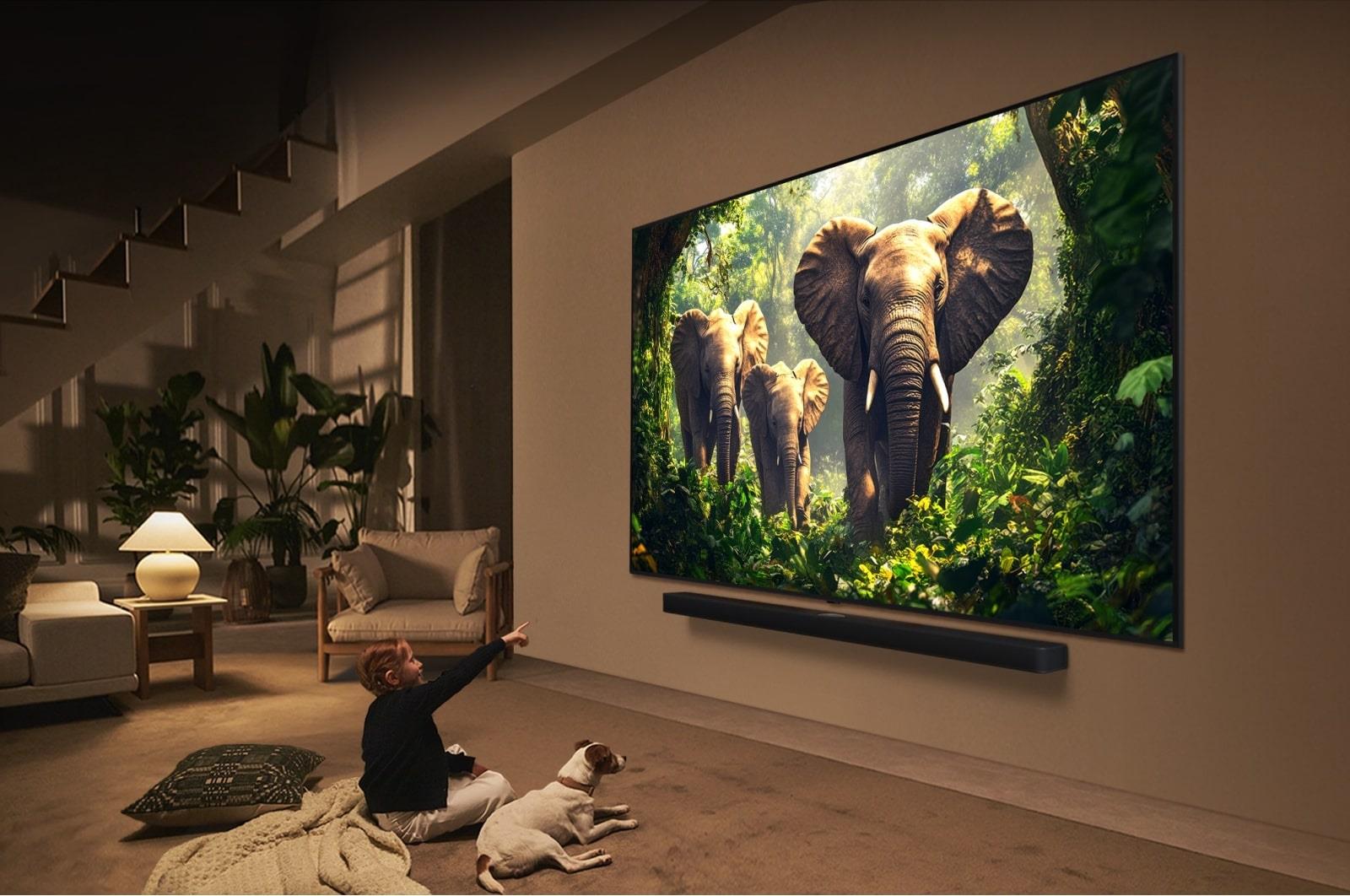 TV Set LG 55" 4K/Smart 3840x2160 Wireless LAN Bluetooth webOS 55QNED87A3B