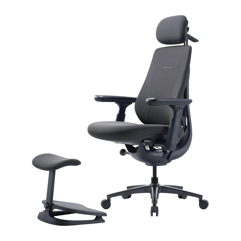 Dynamic Ergonomic Chair LiberNovo Maxis - Image 5