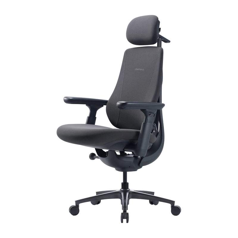 Dynamic Ergonomic Chair LiberNovo Maxis (Graphite) - Image 3