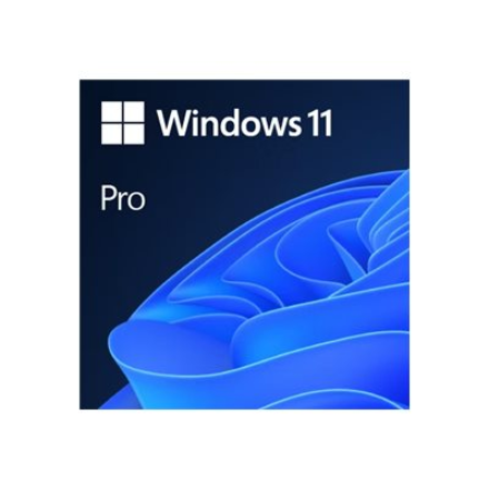 Microsoft | Windows 11 Pro | FQC-10528 | English | OEI | DSP | 64-bit