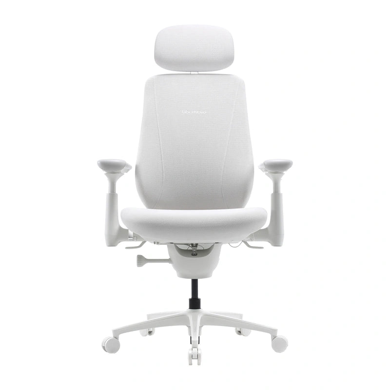 Dynamic Ergonomic Chair LiberNovo Maxis Glacier Co - Image 2