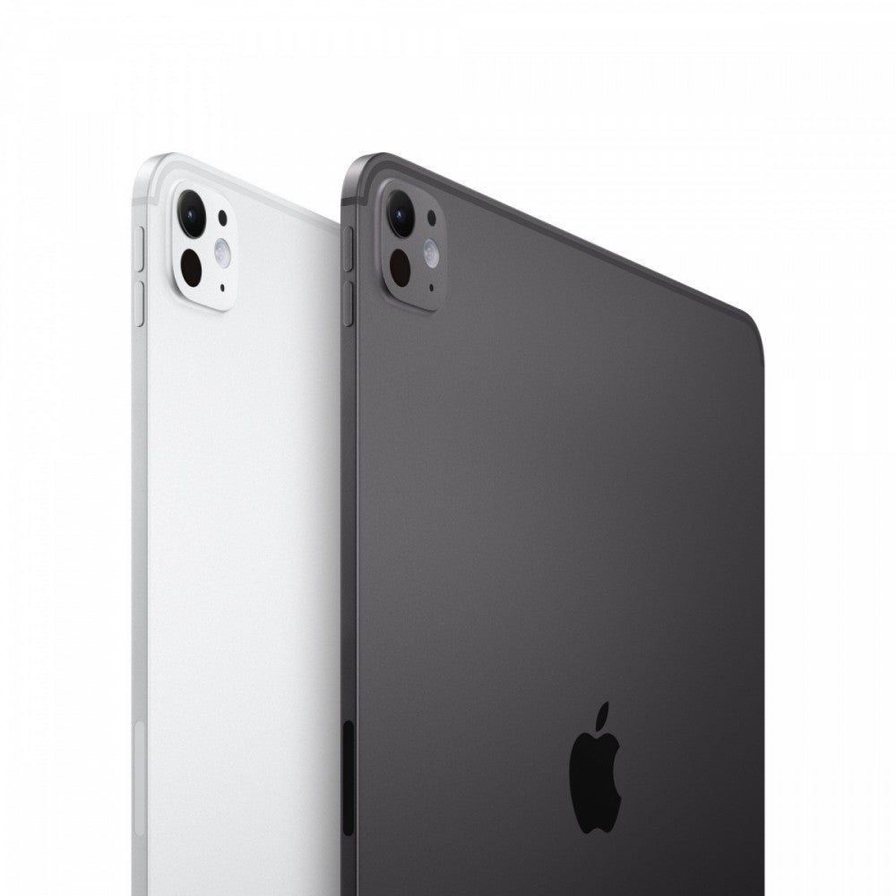 iPad Pro 13 inches Wi-Fi 256 GB Standard glass - Silver