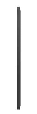 Professional monitor QB65C 65 inches gloss 16h/7 350(cd/m2) 3840x2160 (UHD) S10 Player (Tizen 7) WiFi/BT 3 years On-Site (LH65QBCEBGCXEN)