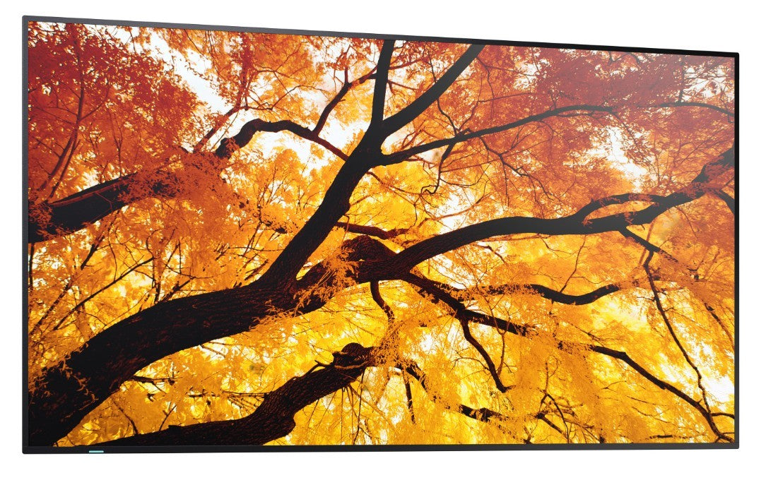 Monitor MultiSync M502 50 inches 550cd/m2 24/7