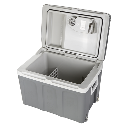 Camry | Portable Cooler | CR 8061 | 40 L | 12 V | F | COOL-WARM switch