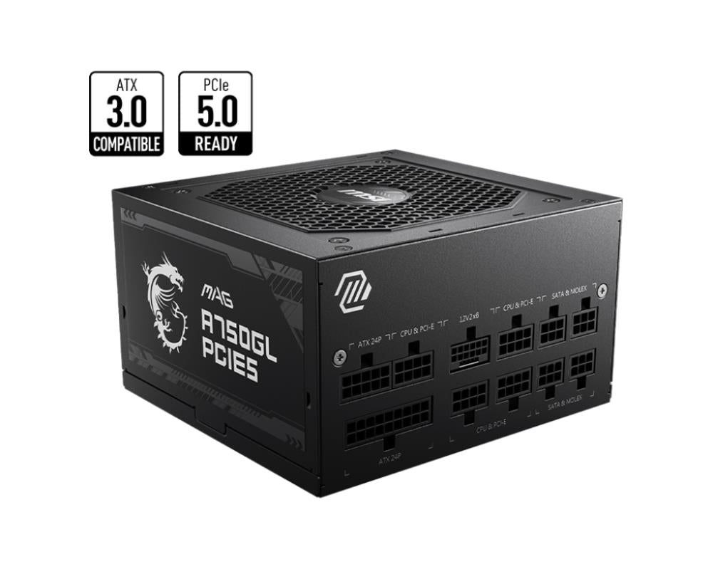 Power Supply MSI 750 Watts Efficiency 80 PLUS GOLD PFC Active MAGA750GLPCIE5