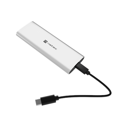 Natec | SSD | Rhino M.2 NVME Lite | 10000 GB | Solid-state drive interface NVMe