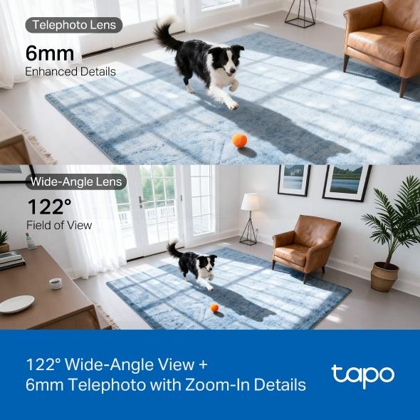 WRL CAMERA PAN/TILT/DUAL TAPO C245D TP-LINK