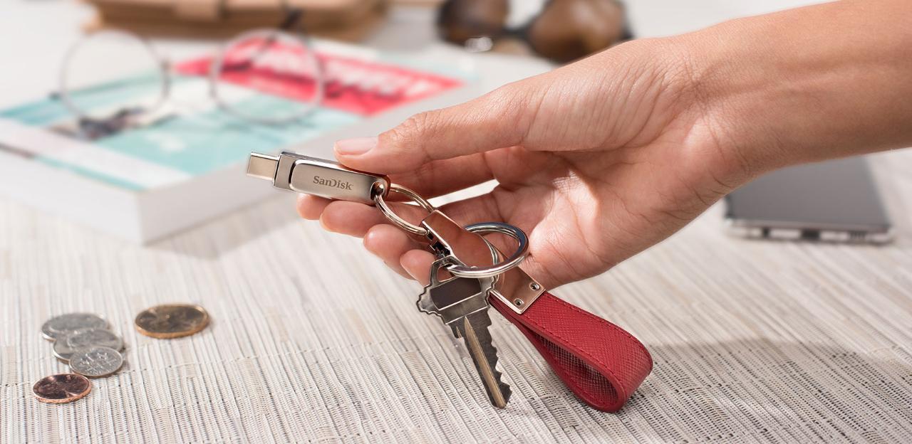 MEMORY DRIVE FLASH USB-C 256GB/SDDDC4-256G-G46 SANDISK