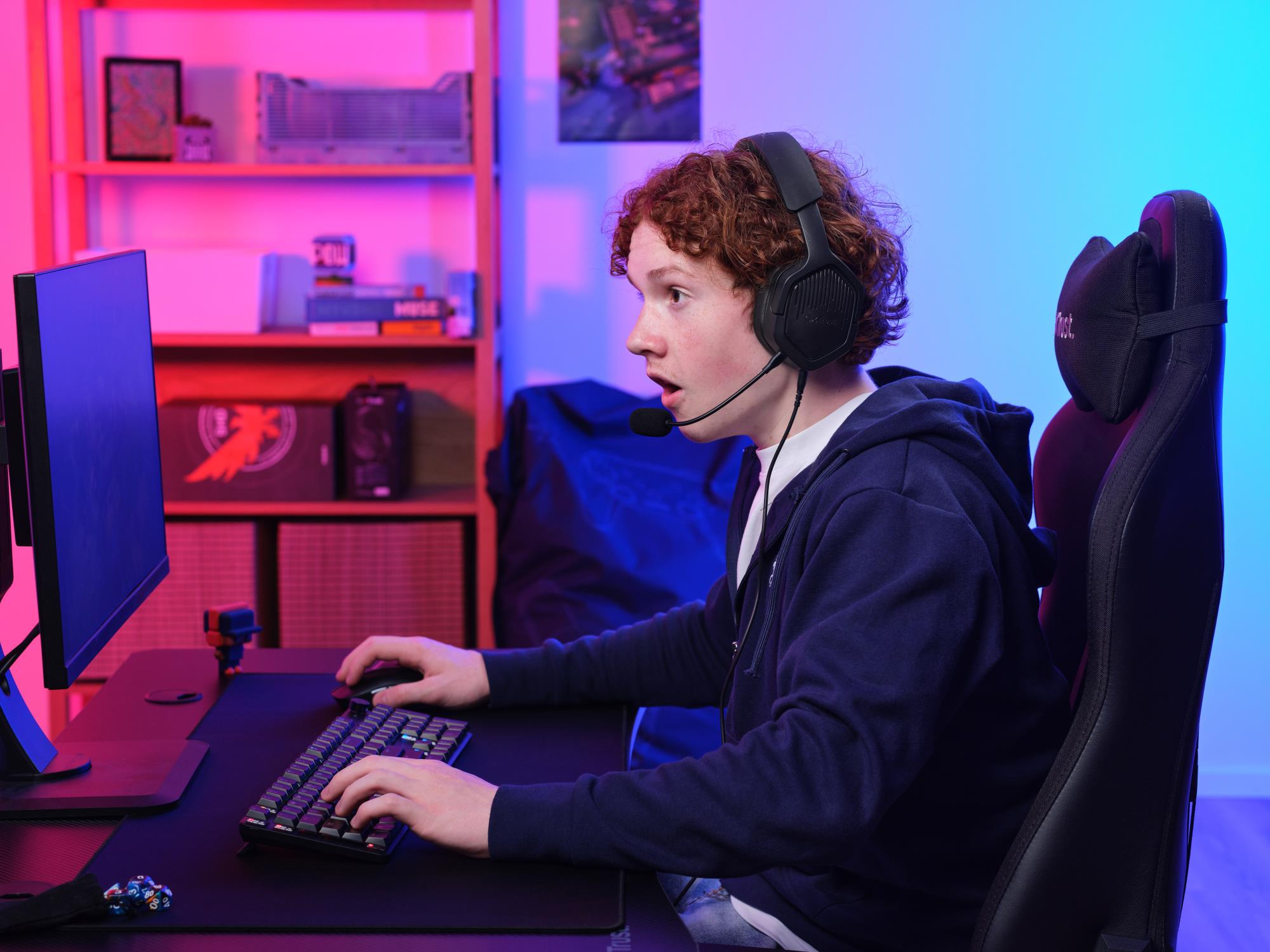 TRUST 25447 Headsets