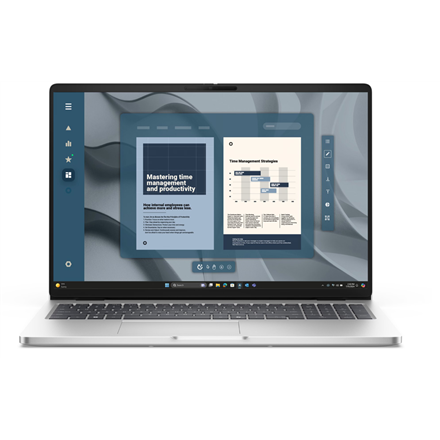 Dell Pro 16 PC16255 | Platinum Silver | 16 " | IPS | Touchscreen | FHD+ | 1920 x 1200 pixels | Anti-glare | AMD Ryzen AI