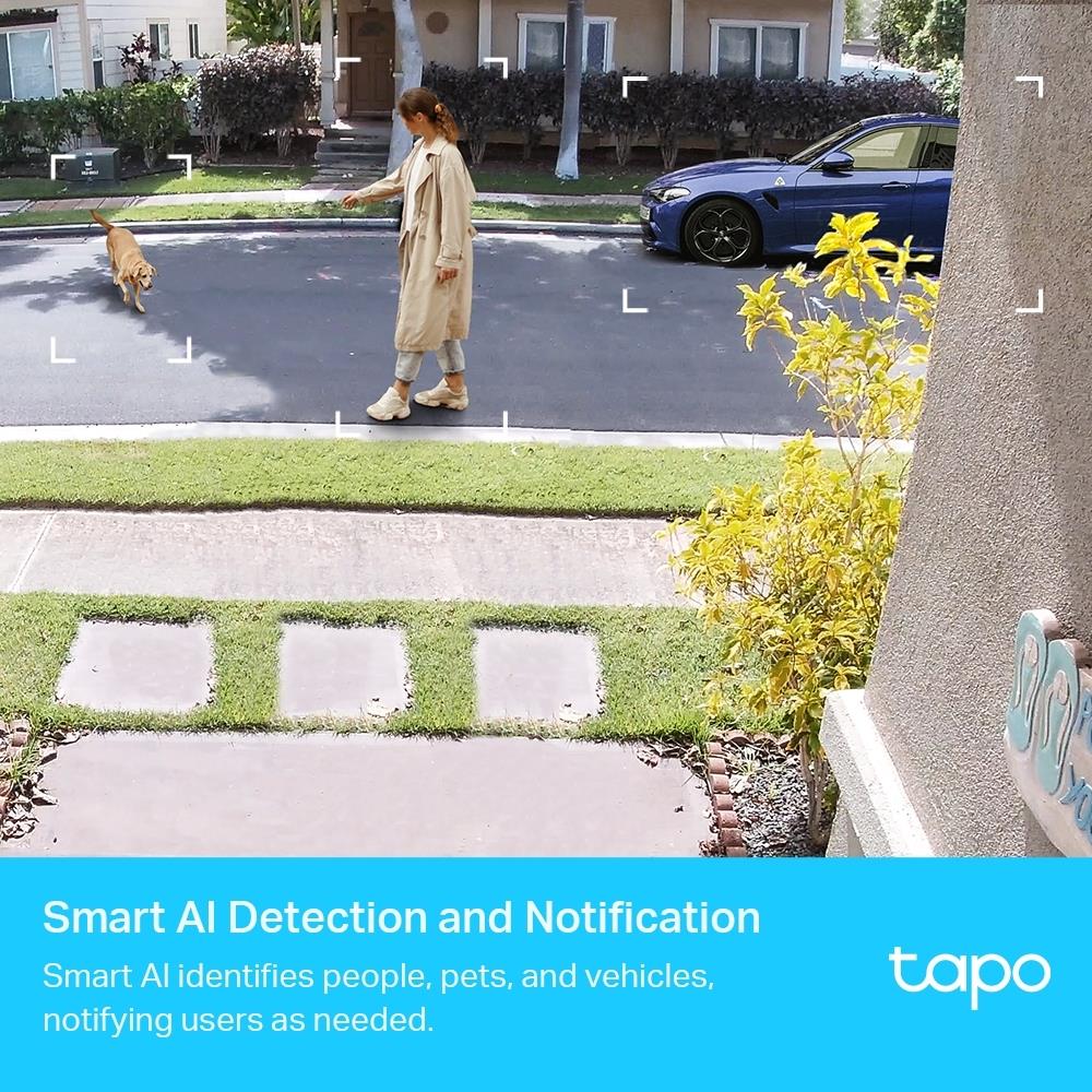 WRL CAMERA SMART H.264/TAPO C420S2 TP-LINK