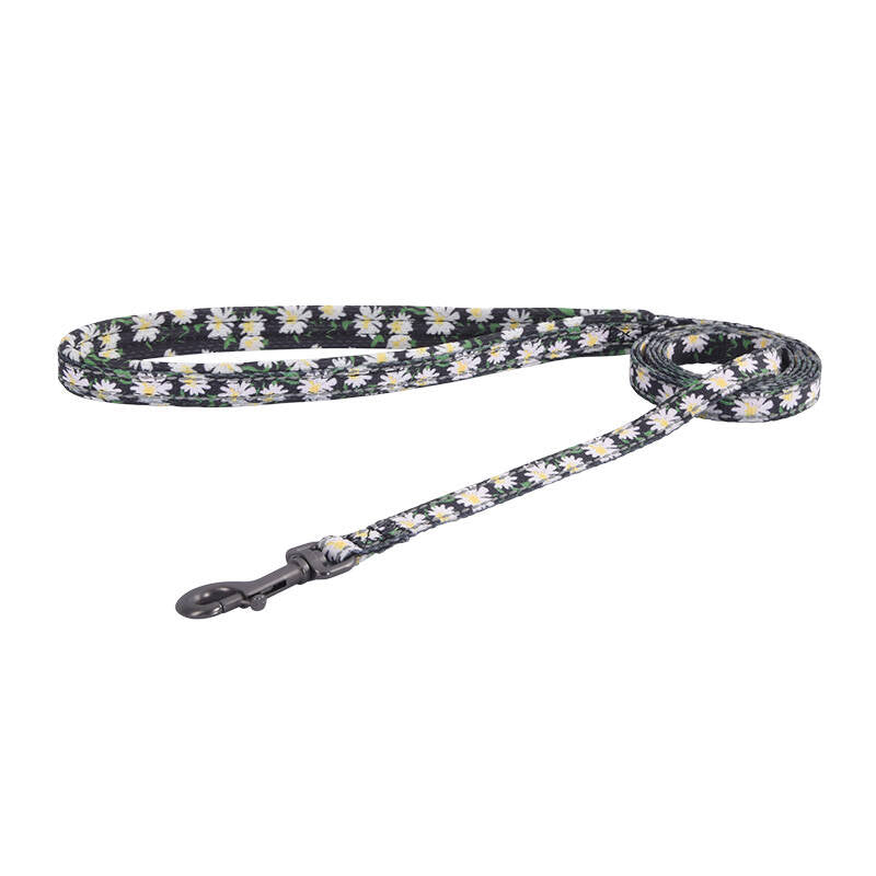 Dogness walking set leash 1,5m+harness for dog (multicolor) - Image 3