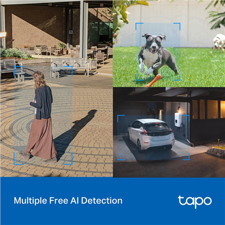 TP-LINK | Pan/Tilt Security Wi-Fi Camera | Tapo C520WS | Dome | 4 MP | 3.18 mm/F1.6 | IP66 | H.264 | MicroSD, up to 512 