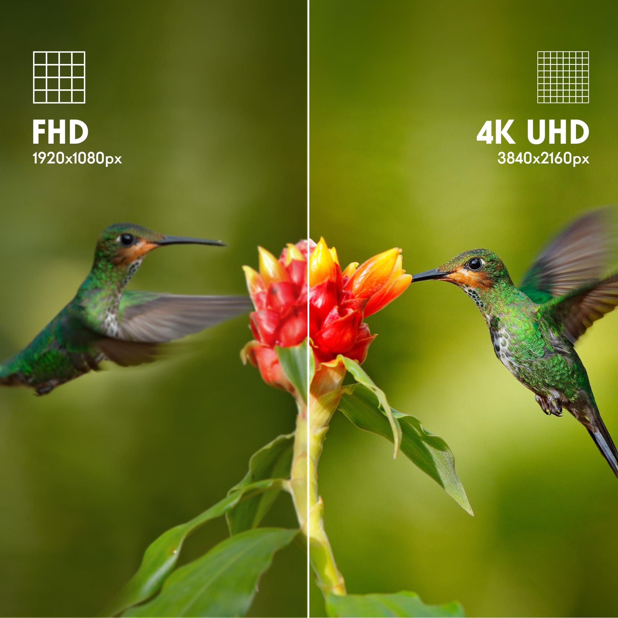 TV Set THOMSON 43" 4K/Smart QLED 3840x2160 Google TV White 43UG4S14W