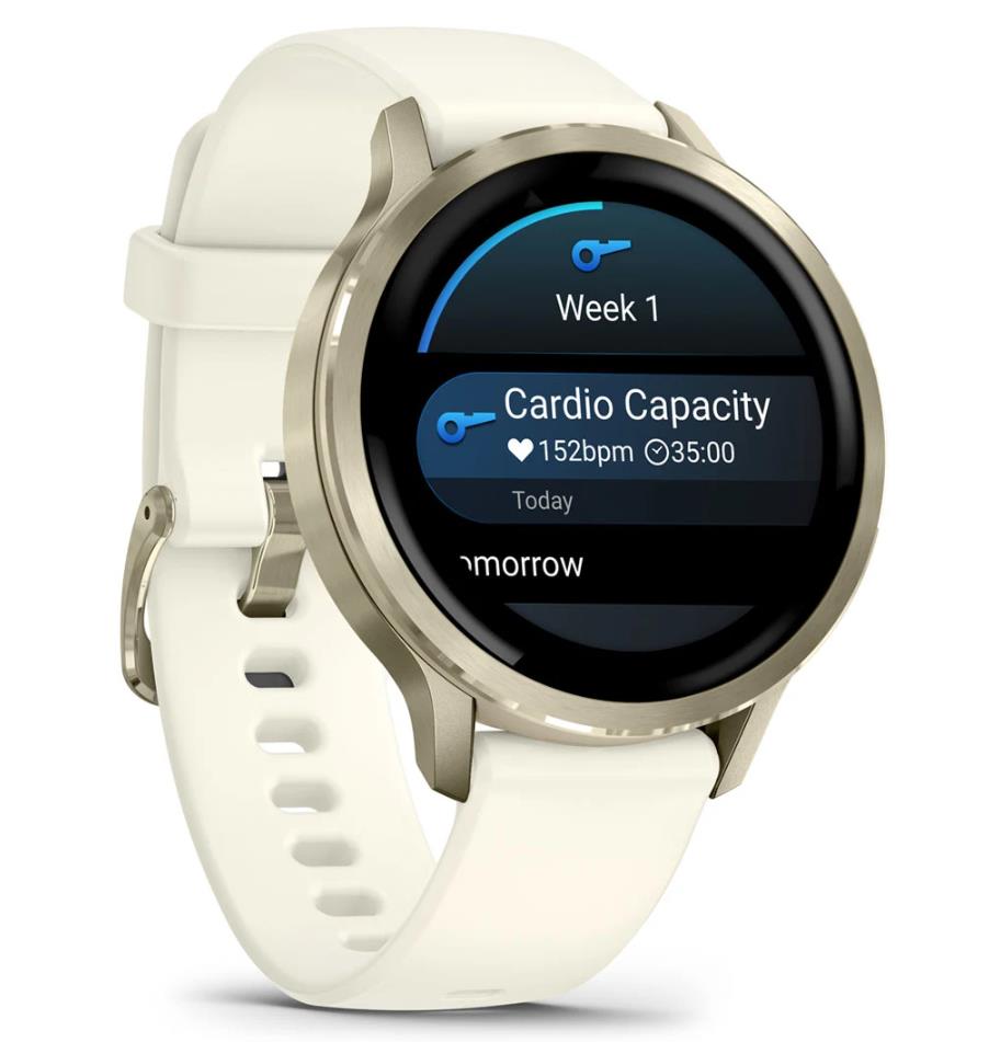 SMARTWATCH VENU 4 41MM/LUNAR GOLD 010-03013-00 GARMIN