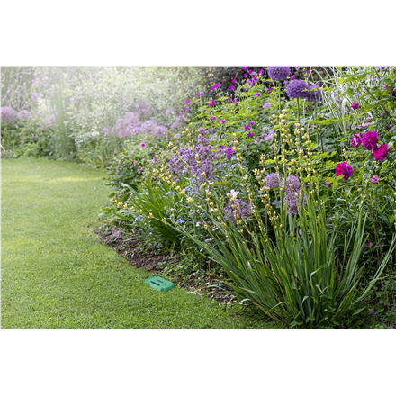Osram SMART+ RF Soil Moisture Sensor | Green