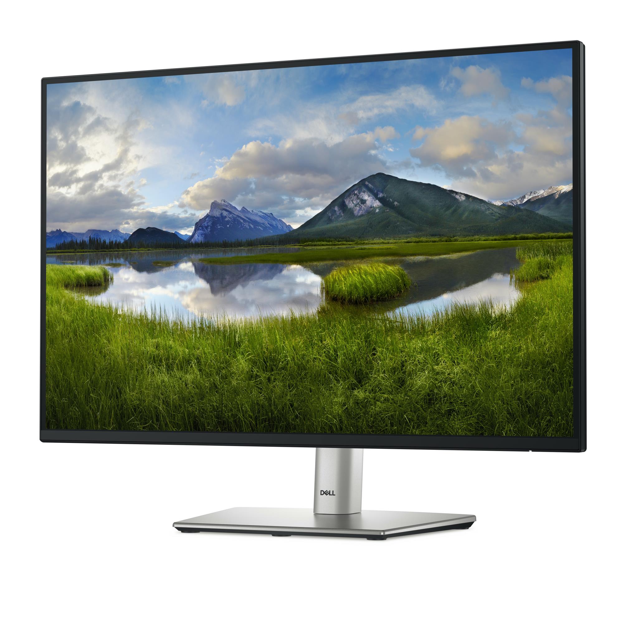 LCD Monitor DELL P2425 24" Business Panel IPS 1920x1200 16:10 100Hz Matte 8 ms Swivel Pivot Height adjustable Tilt 210-BMJD