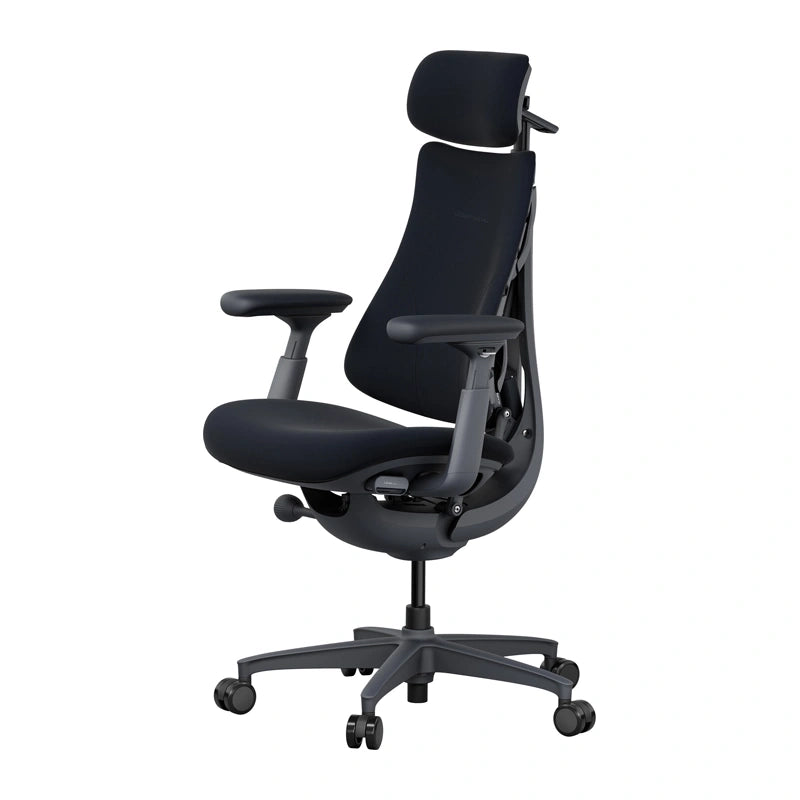 LiberNovo Omni 45 cm Ergonomic Chair (Black) - Image 1