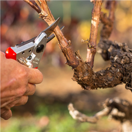 Felco | One-hand pruning shear | FELCO 6